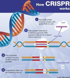 CRISPR